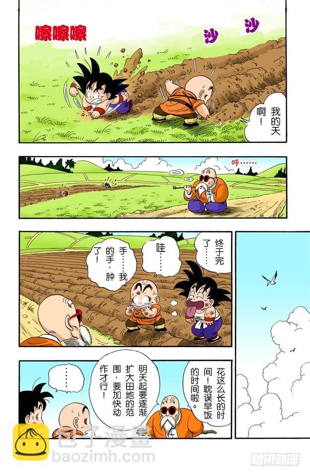 龟仙派的严格训练
