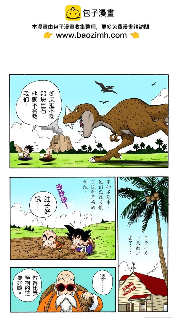 天下第一武道会！