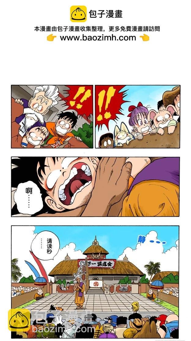 空中大战！