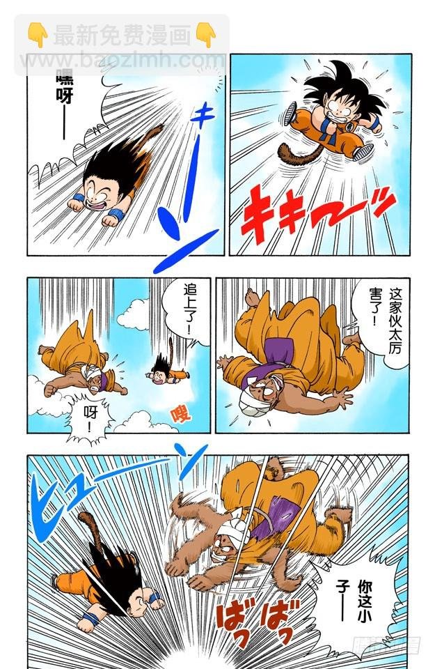 空中大战！