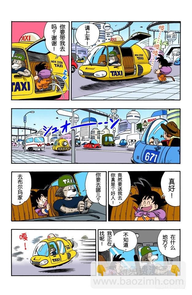 西都的布尔玛家