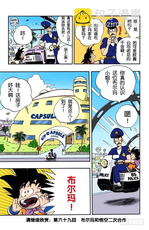 西都的布尔玛家