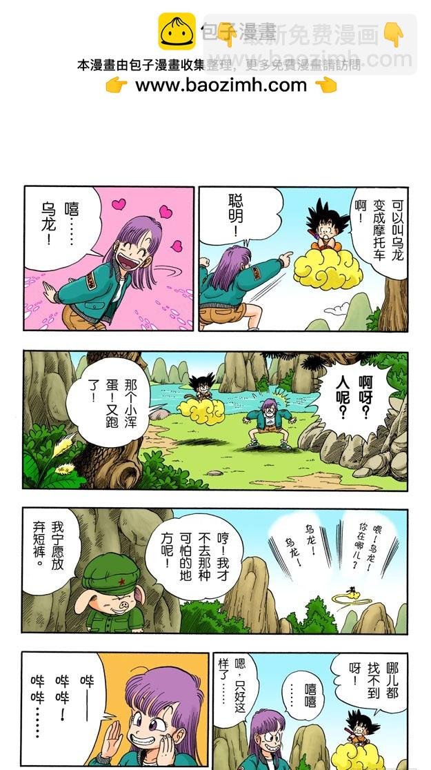 亚姆查和普洱