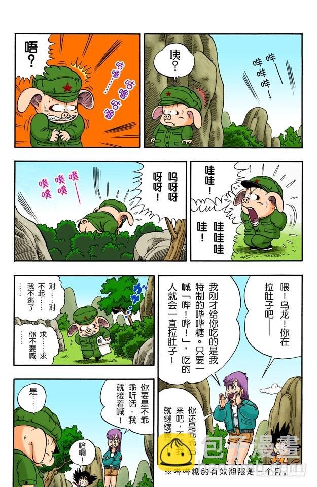 亚姆查和普洱