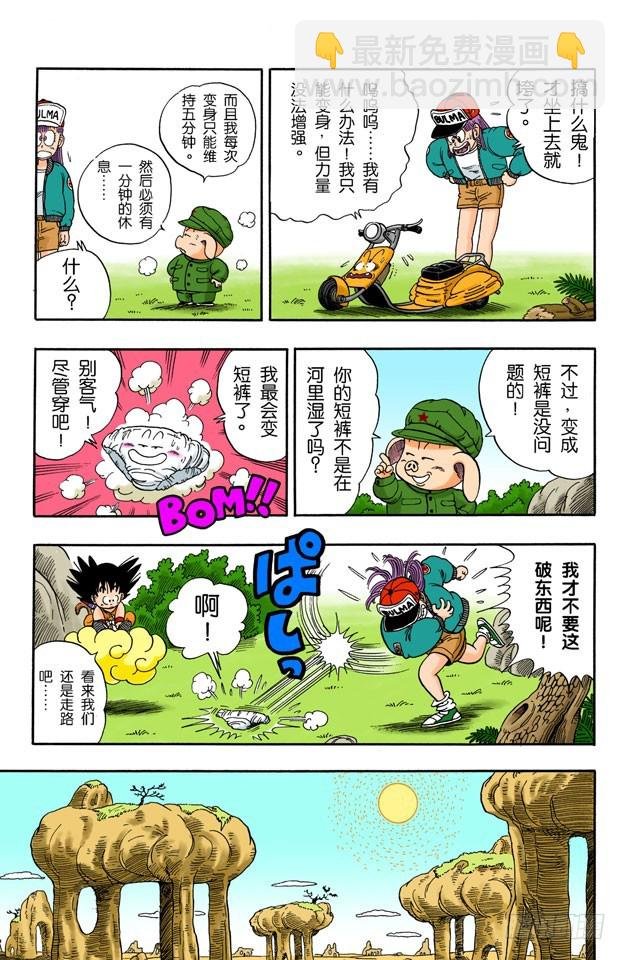 亚姆查和普洱