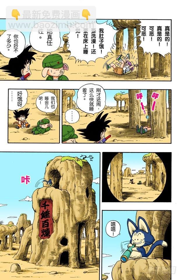亚姆查和普洱