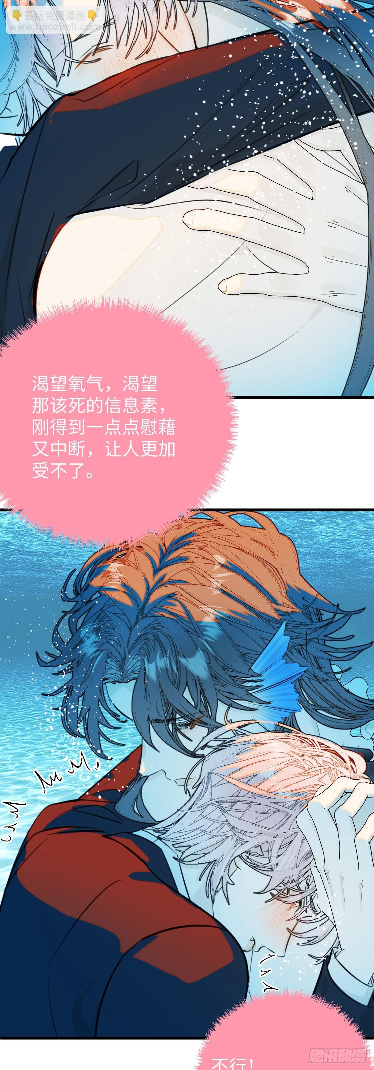番外2：小狗夕夕揣蛋记4