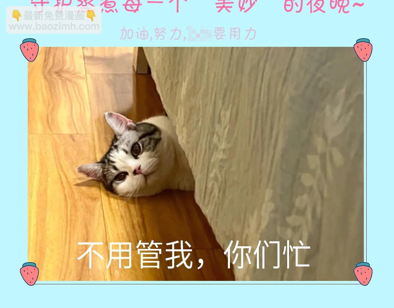 第12期 吃狗粮的正确姿势（日更中）