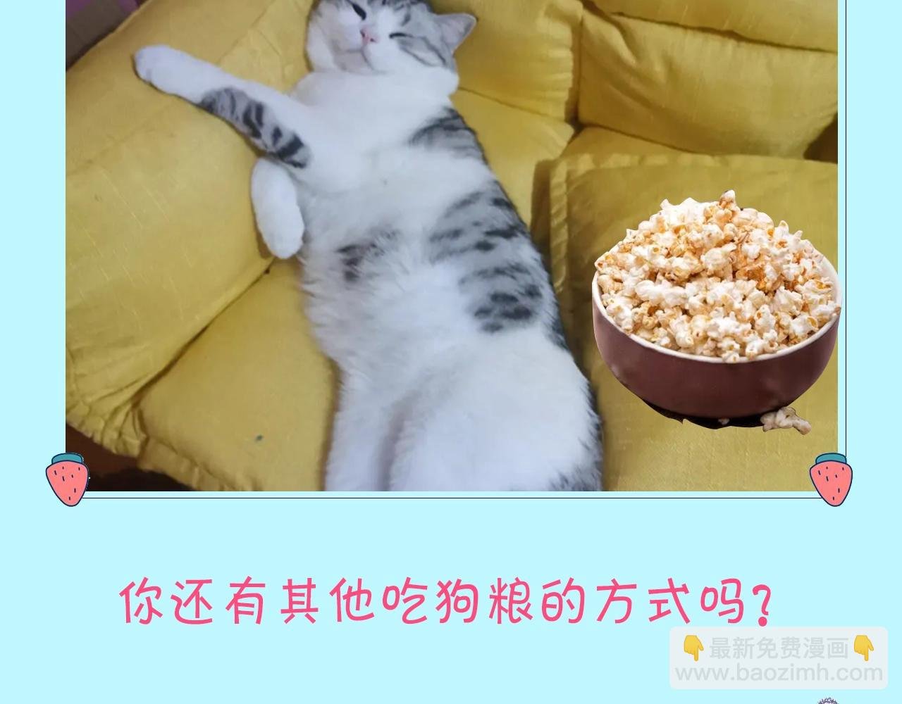 第12期 吃狗粮的正确姿势（日更中）