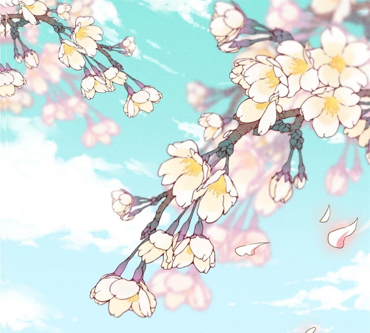 预告篇