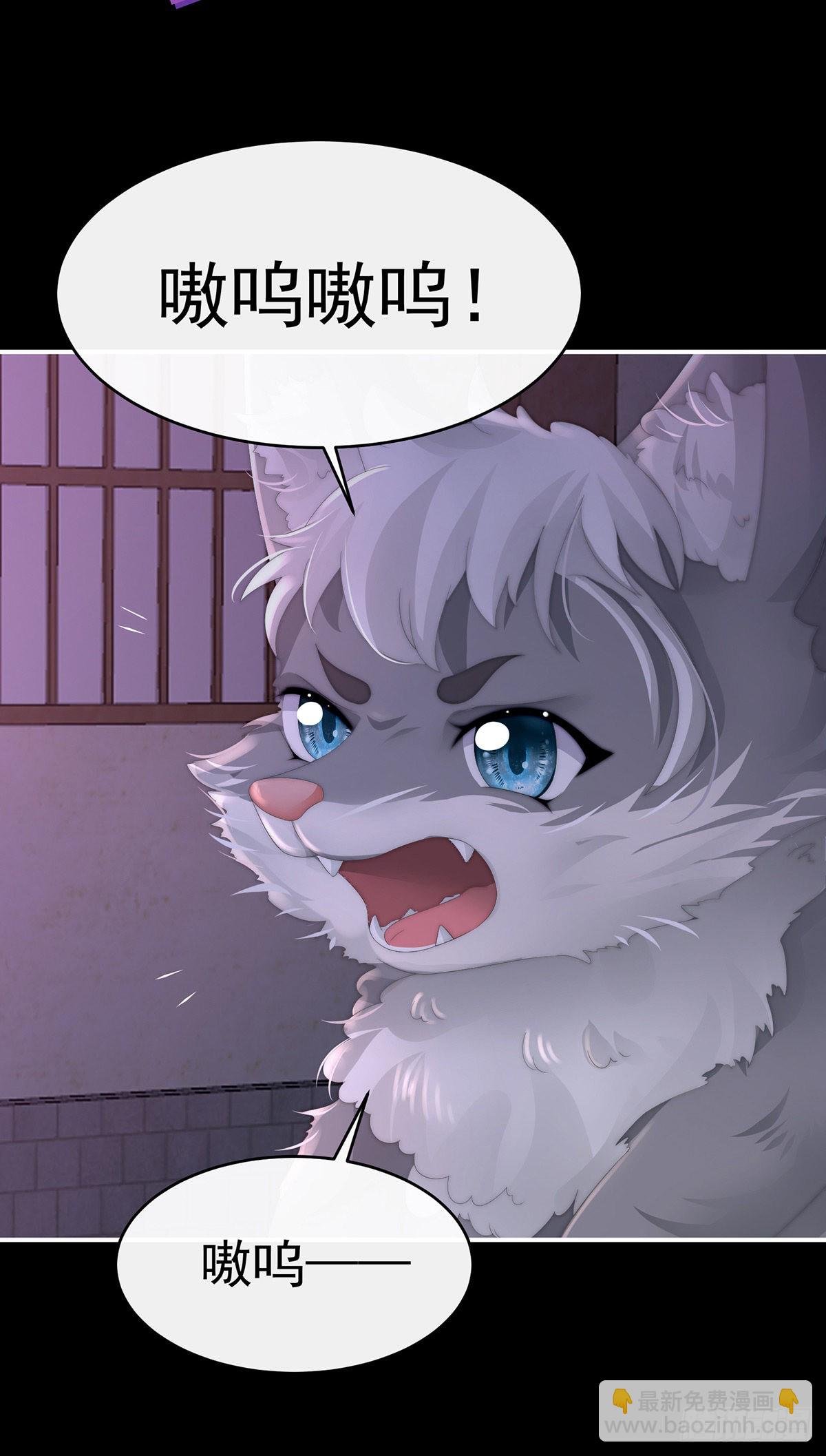 白嫖一只狼崽