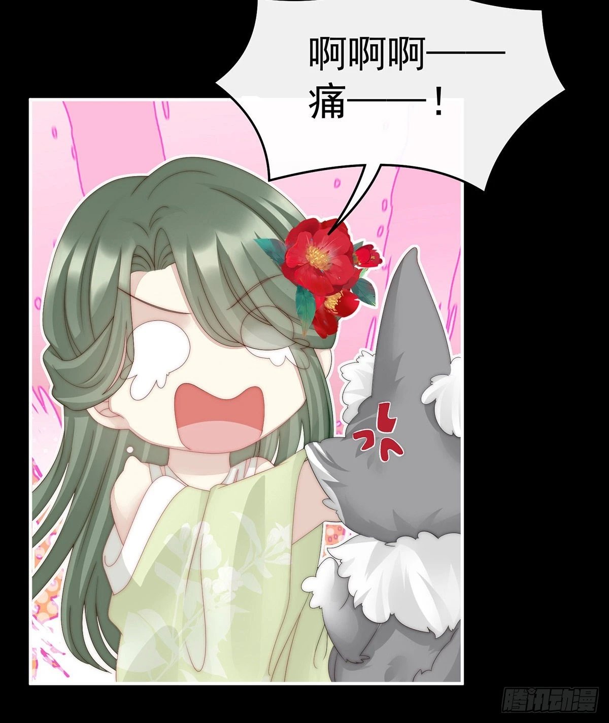 白嫖一只狼崽