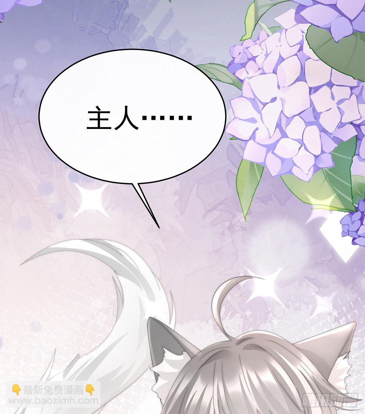 主人，摸摸我