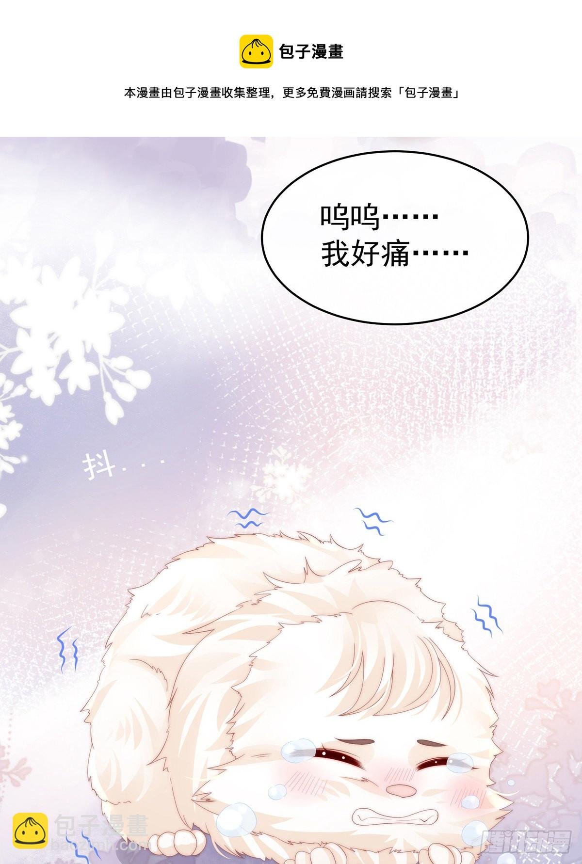 可怜的小毛团