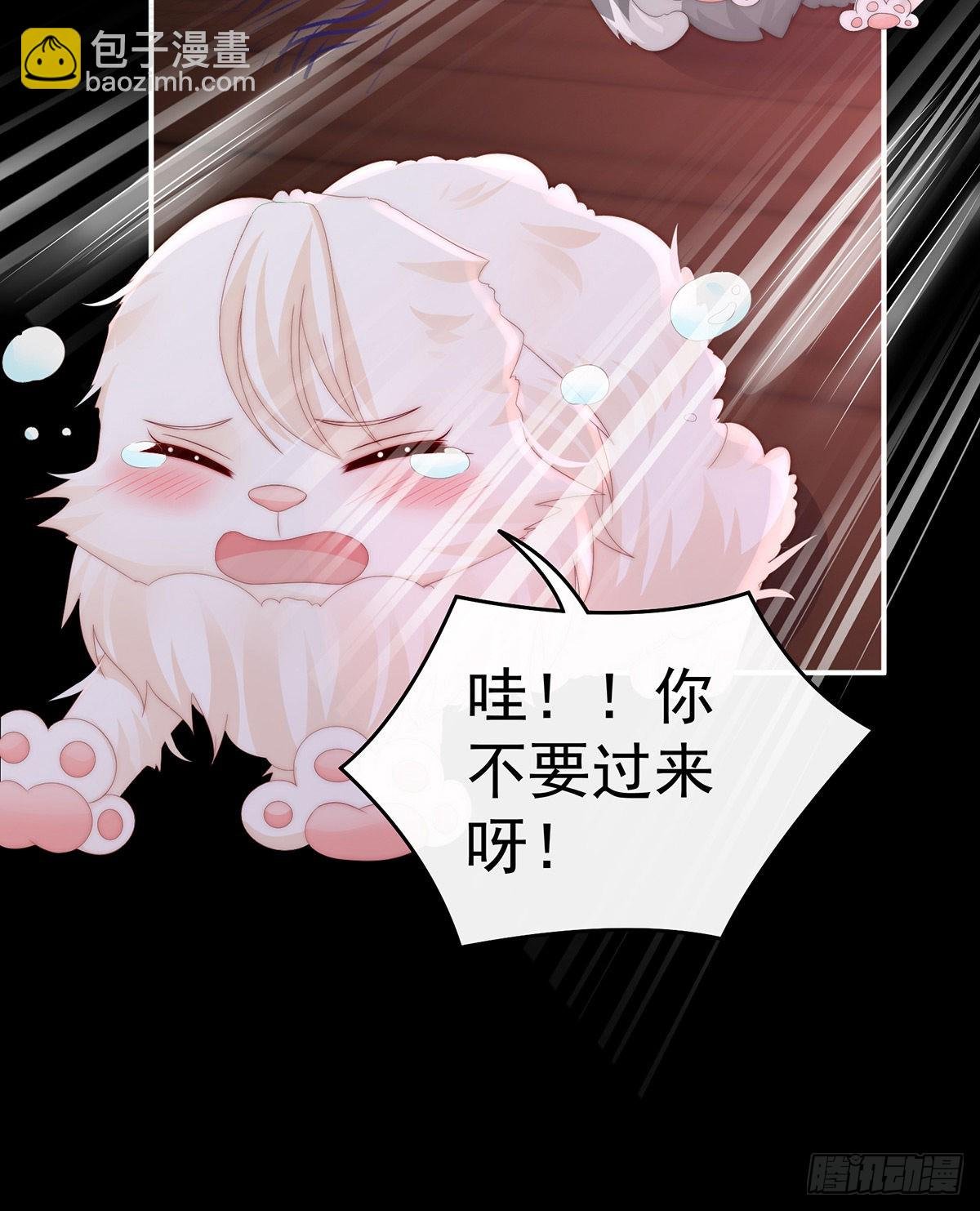 你有别的狗了