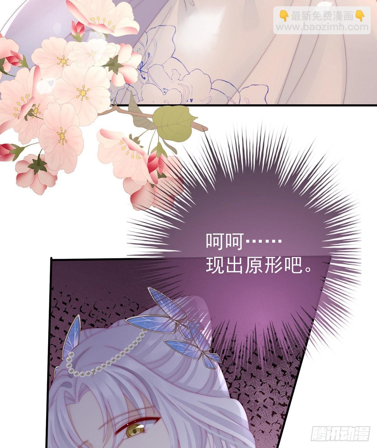鲛人现身