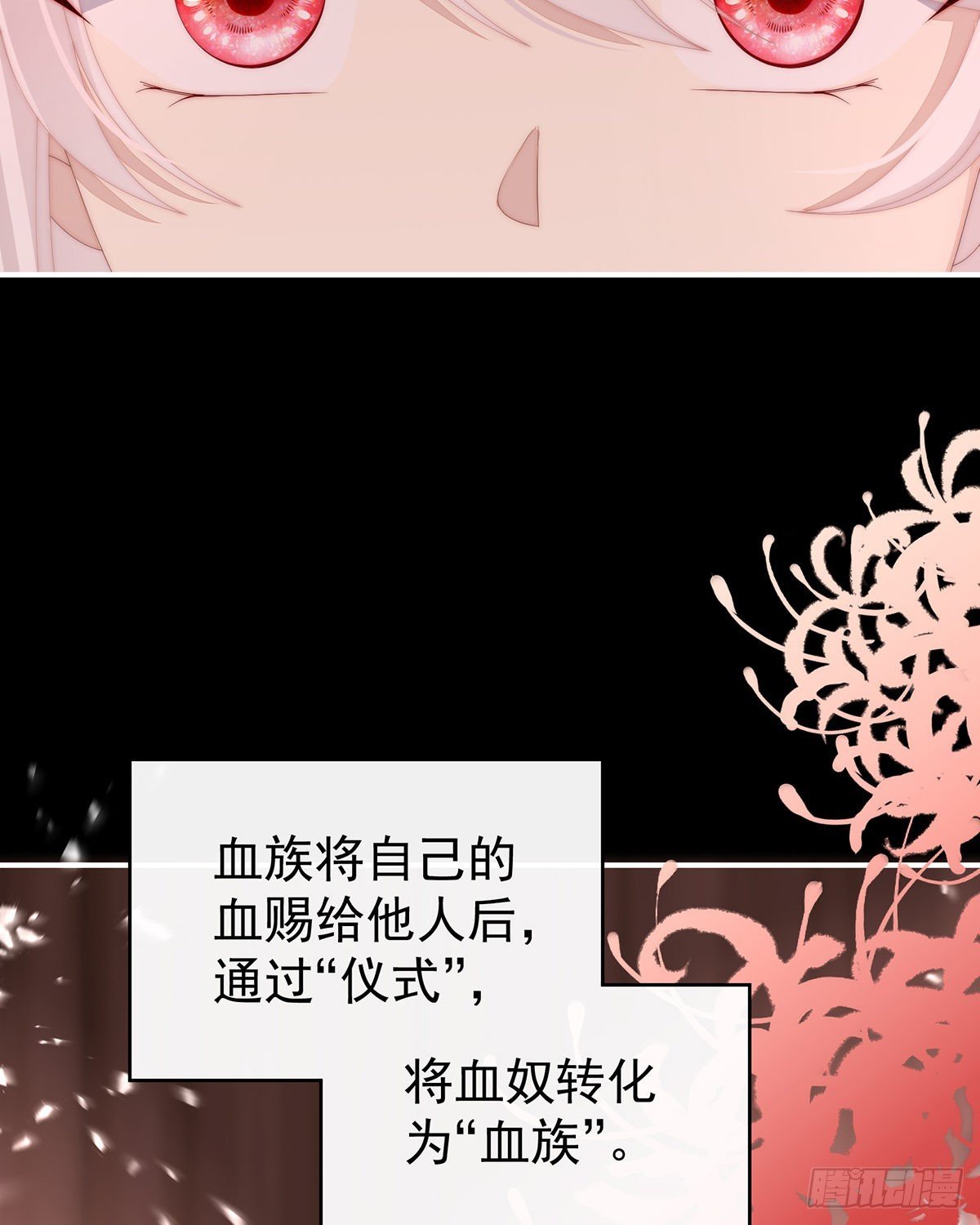 与你结契，永不分离