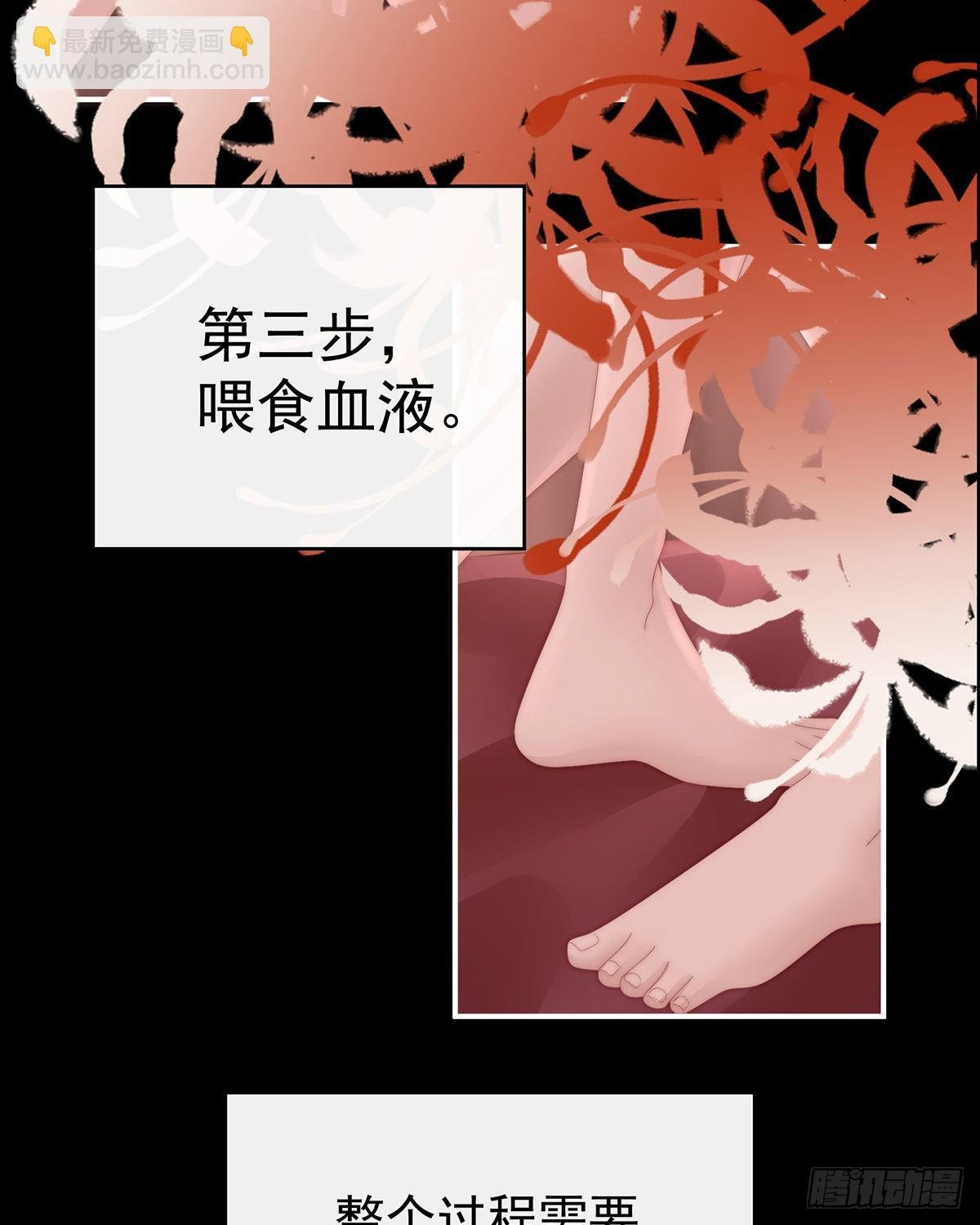 与你结契，永不分离
