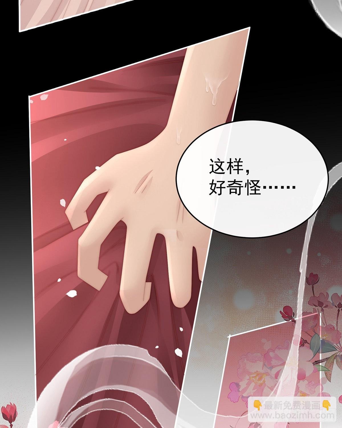 与你结契，永不分离