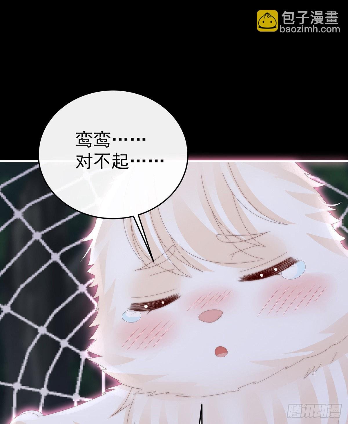 我是她的夫君