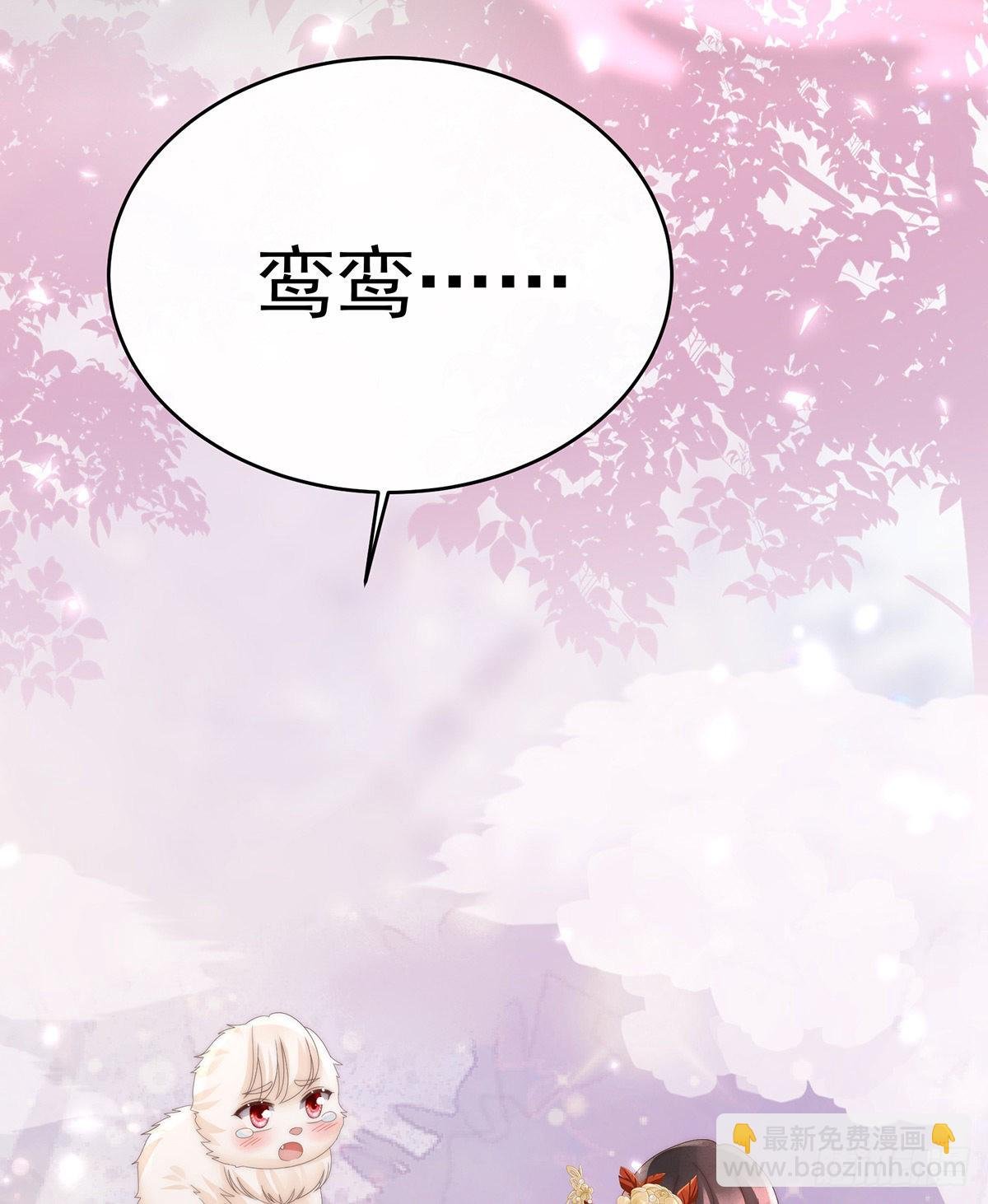 我是她的夫君