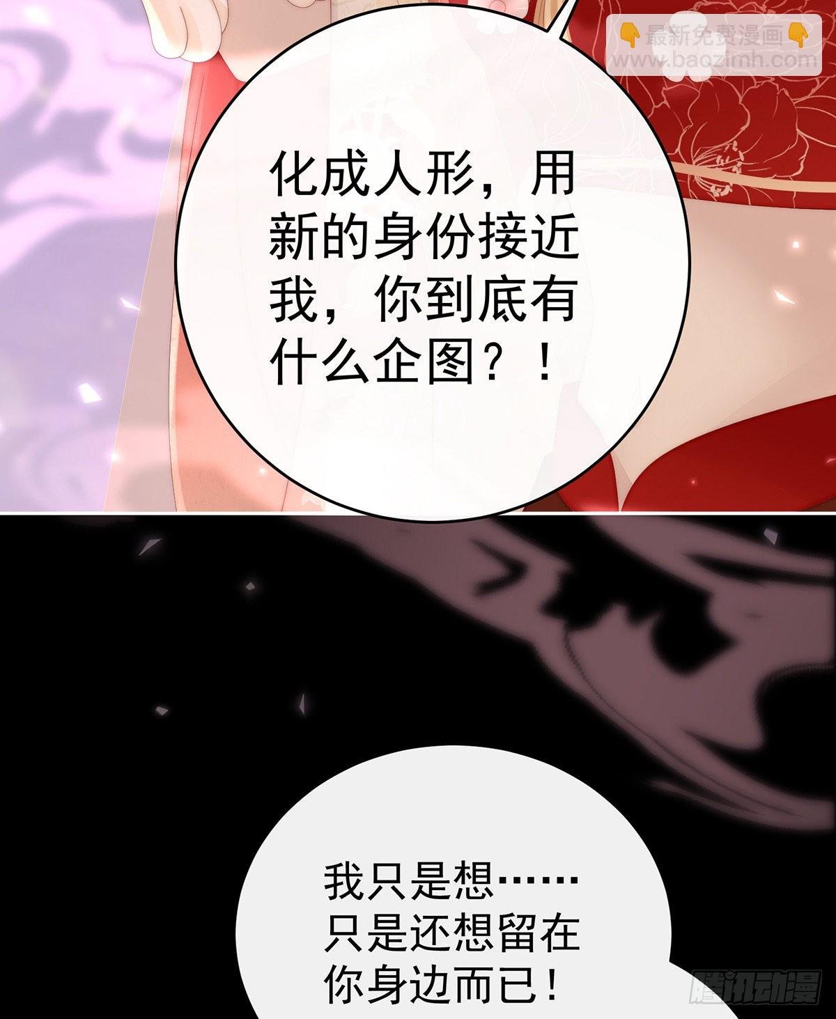 我是她的夫君