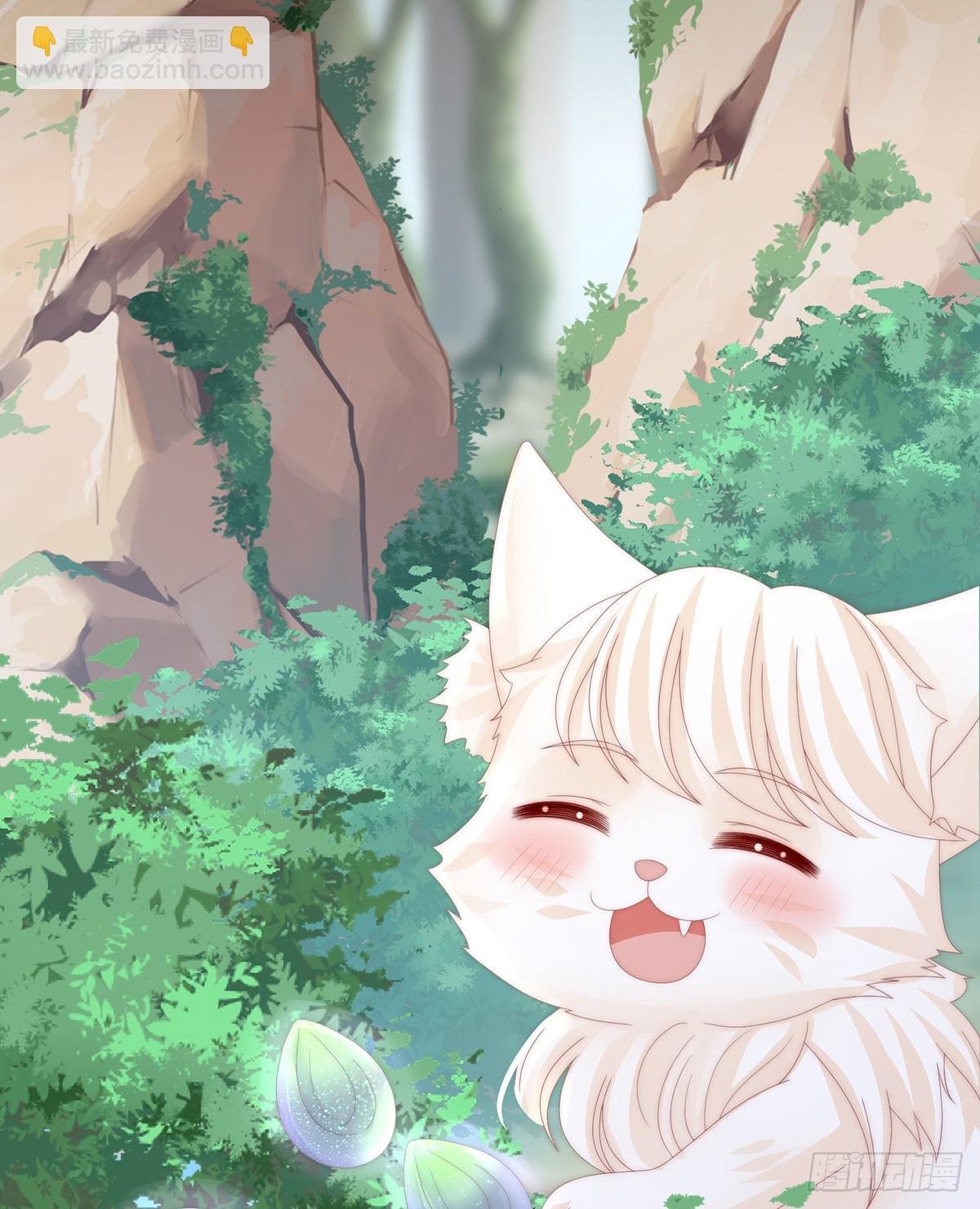 我是她的夫君
