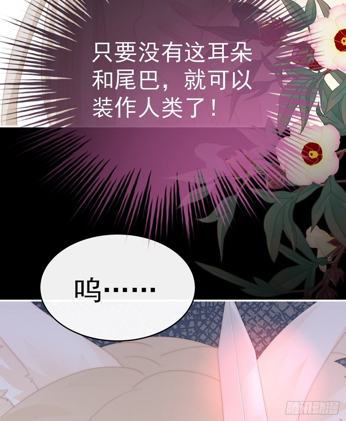 我愿意等她醒来
