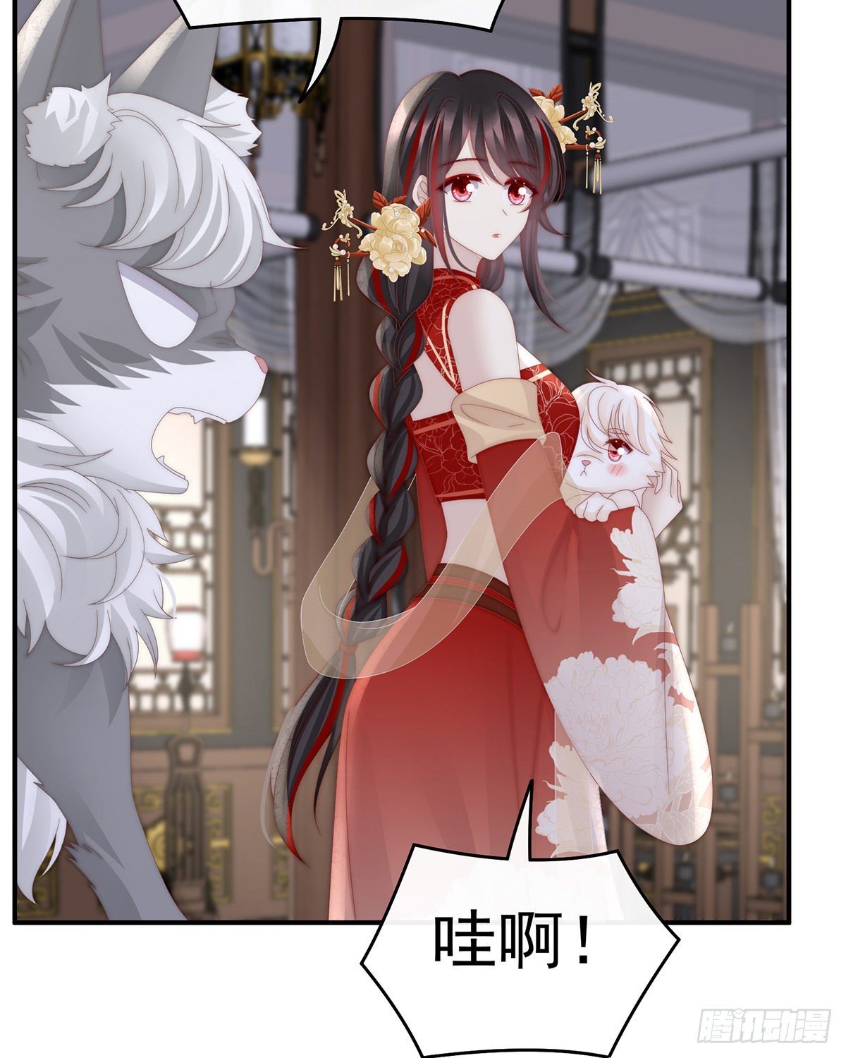 小动物也争宠？