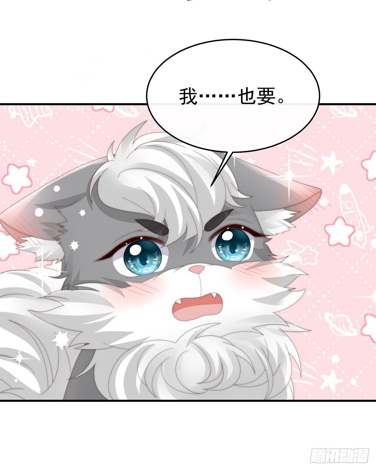 小动物也争宠？