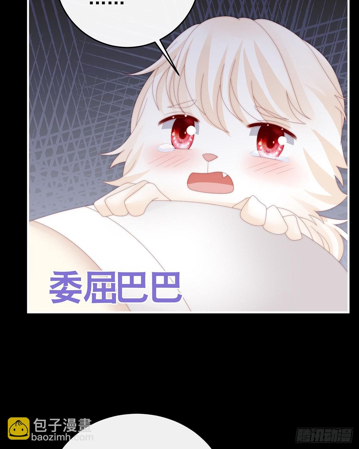 小动物也争宠？