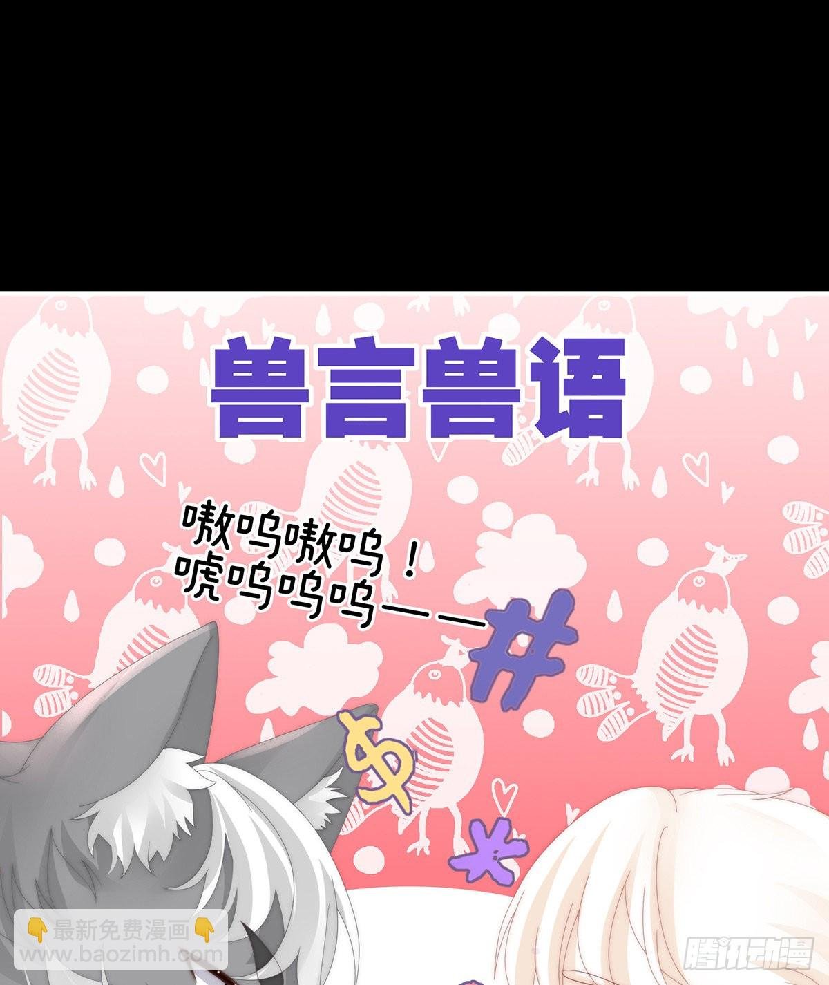 小动物也争宠？
