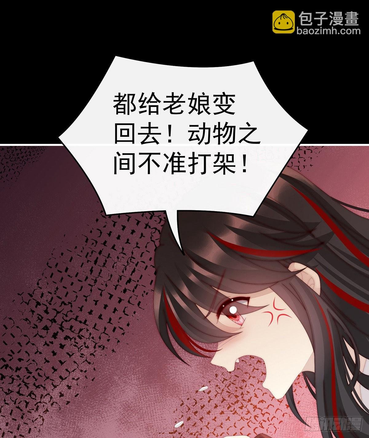 小动物也争宠？