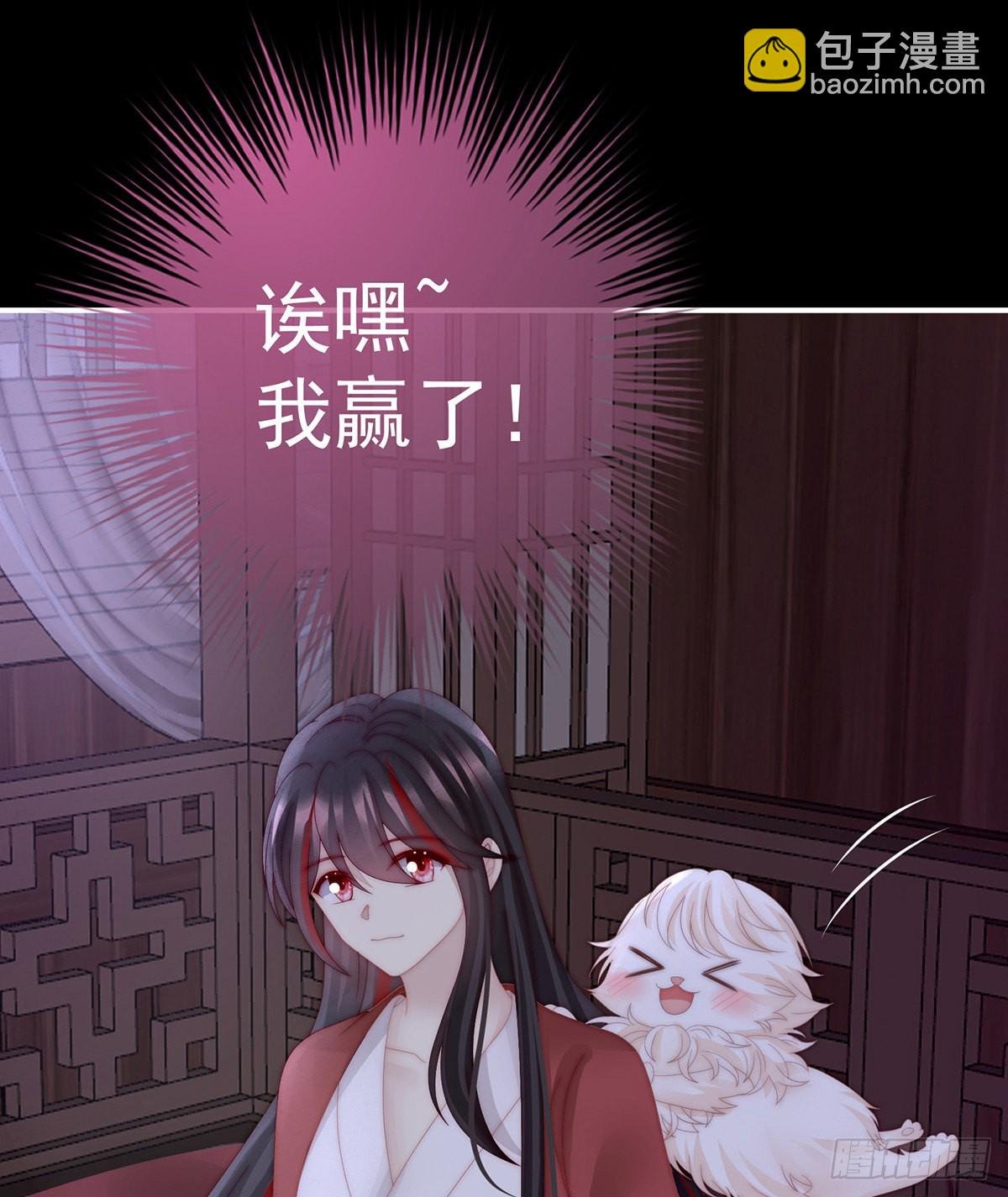 小动物也争宠？