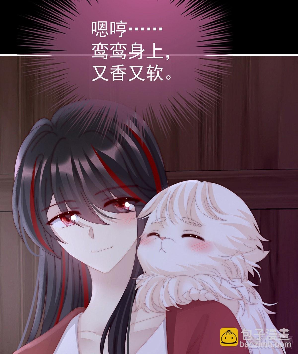 小动物也争宠？