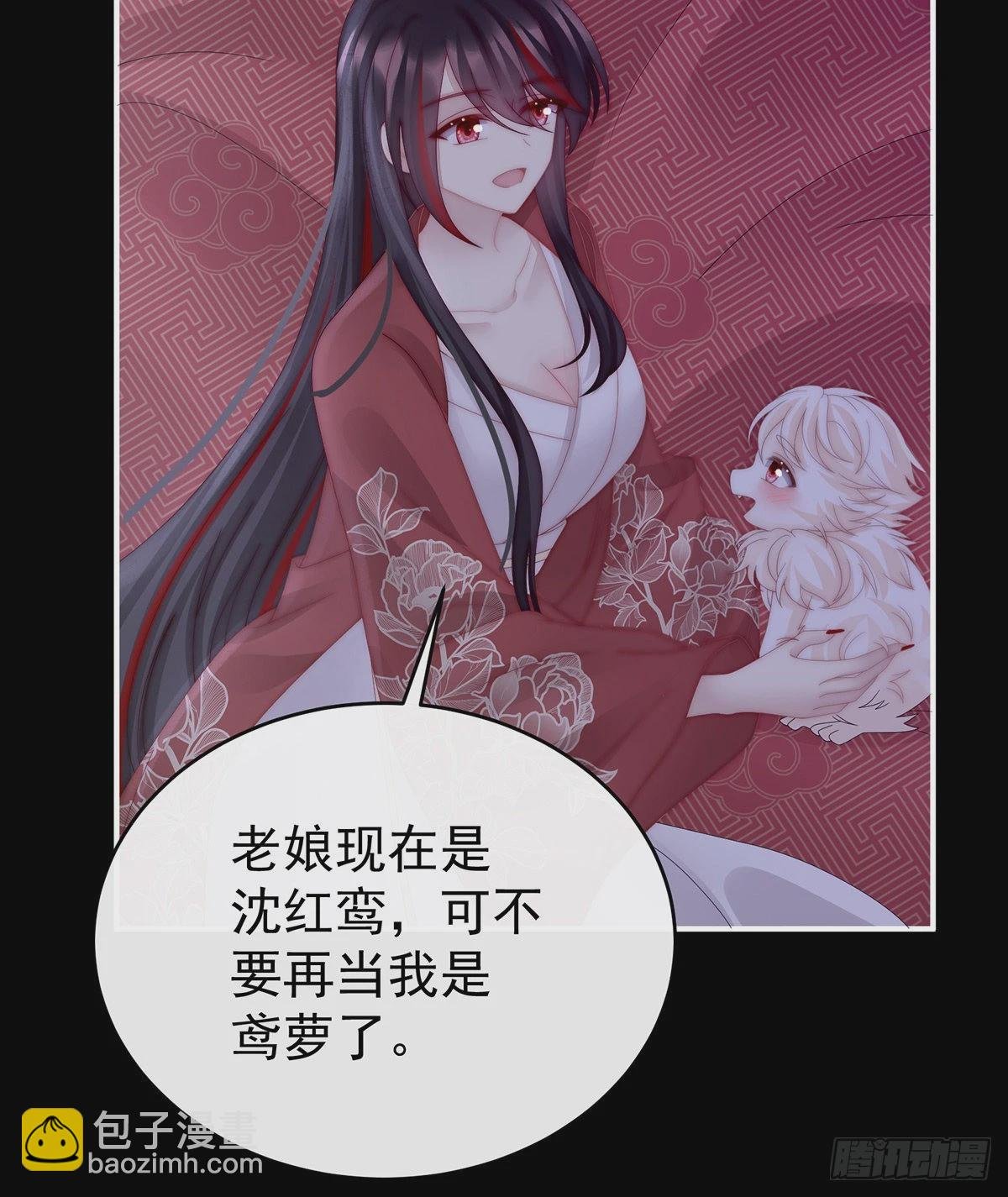 小动物也争宠？