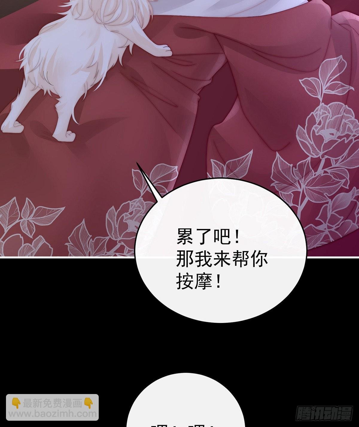 小动物也争宠？