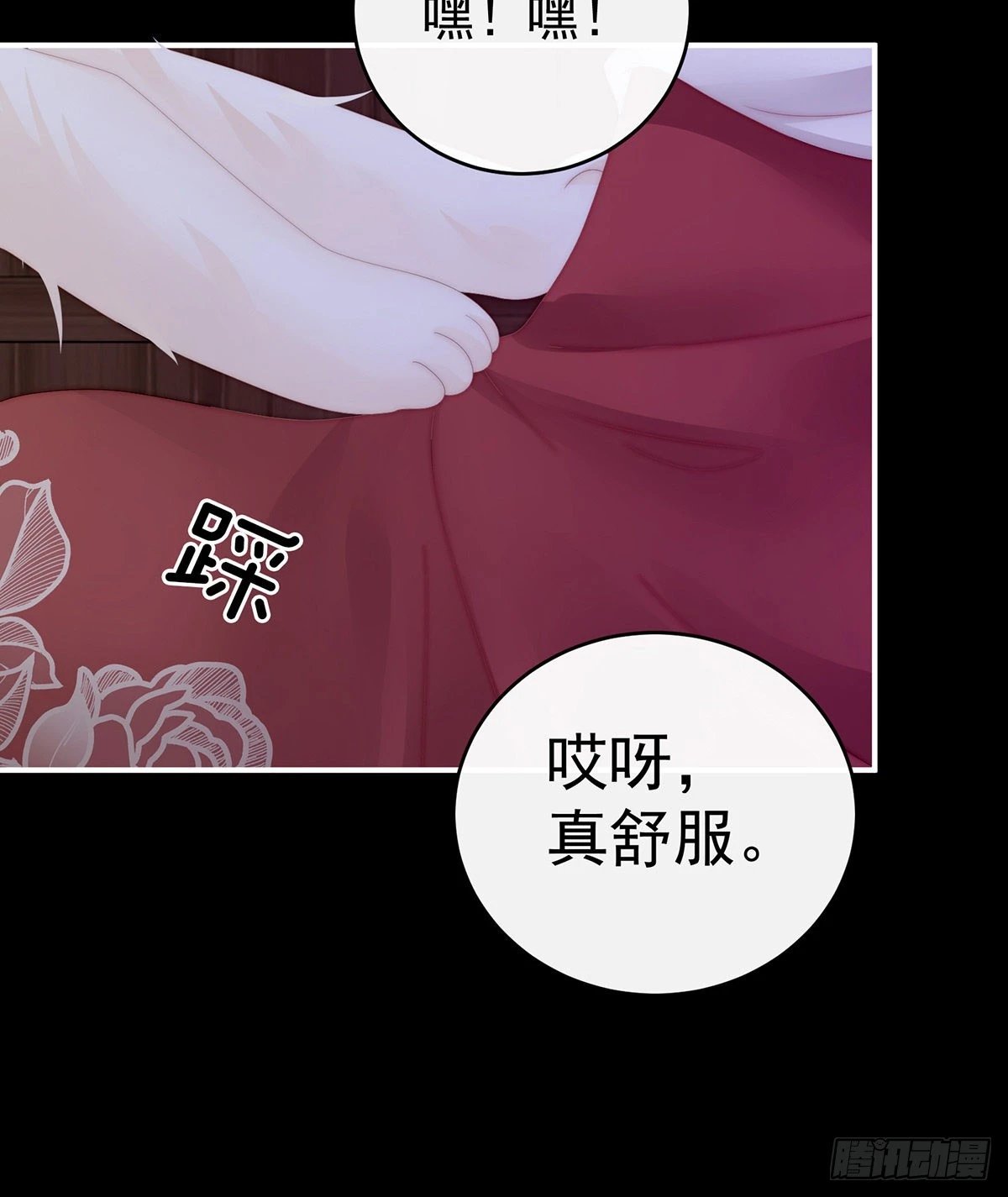 小动物也争宠？
