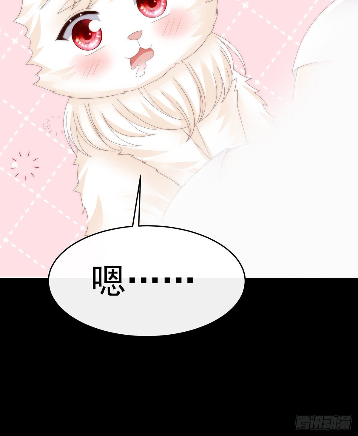 小动物也争宠？