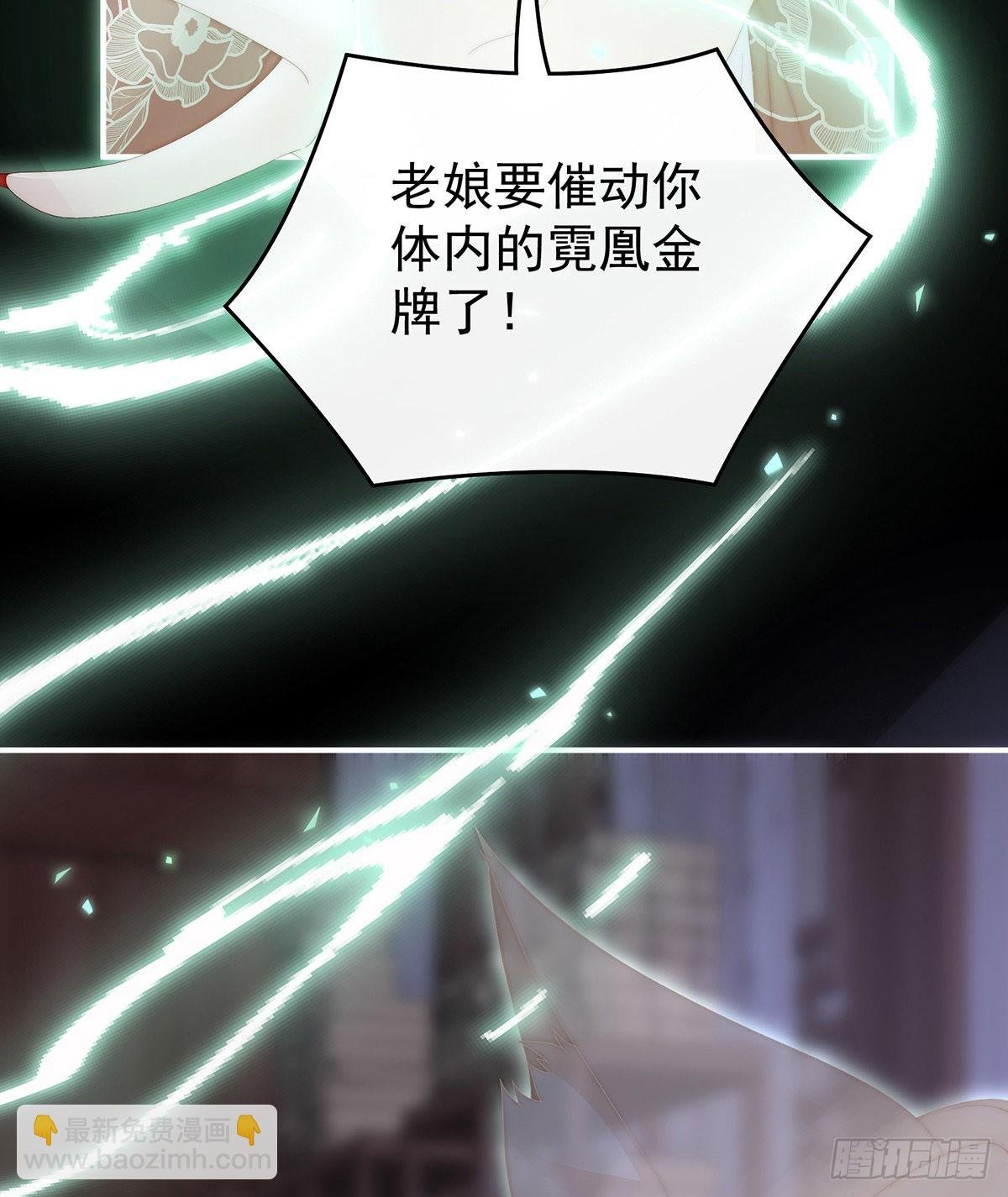 想嫁给鸾鸾