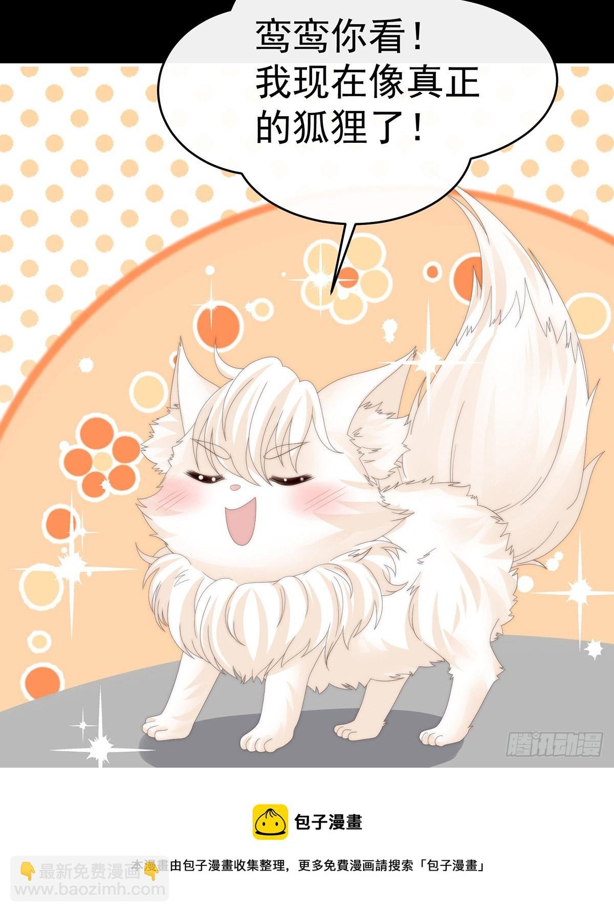 想嫁给鸾鸾
