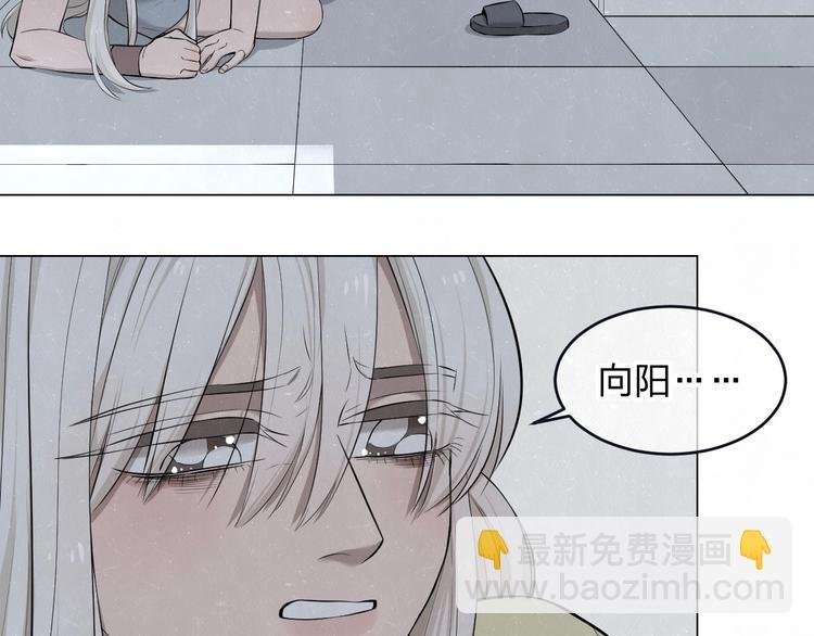 第39话 初遇蓓光