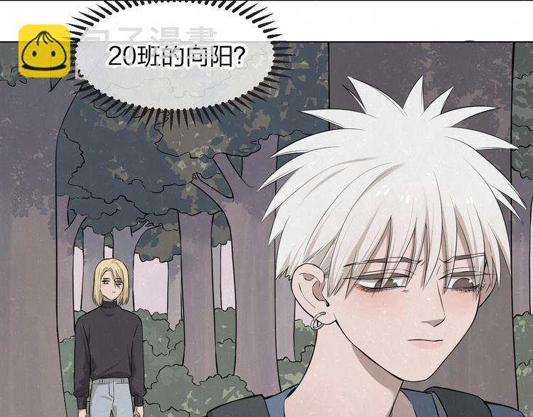 第40话 萤火之光