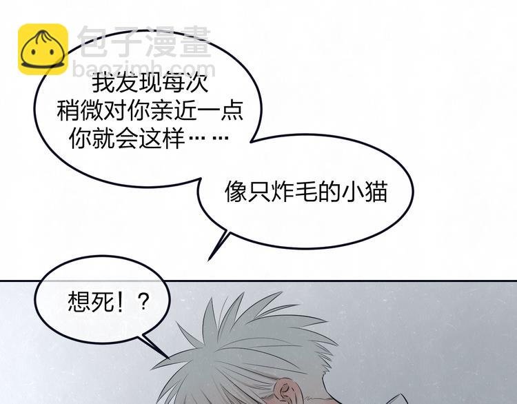 第50话 炸毛小猫