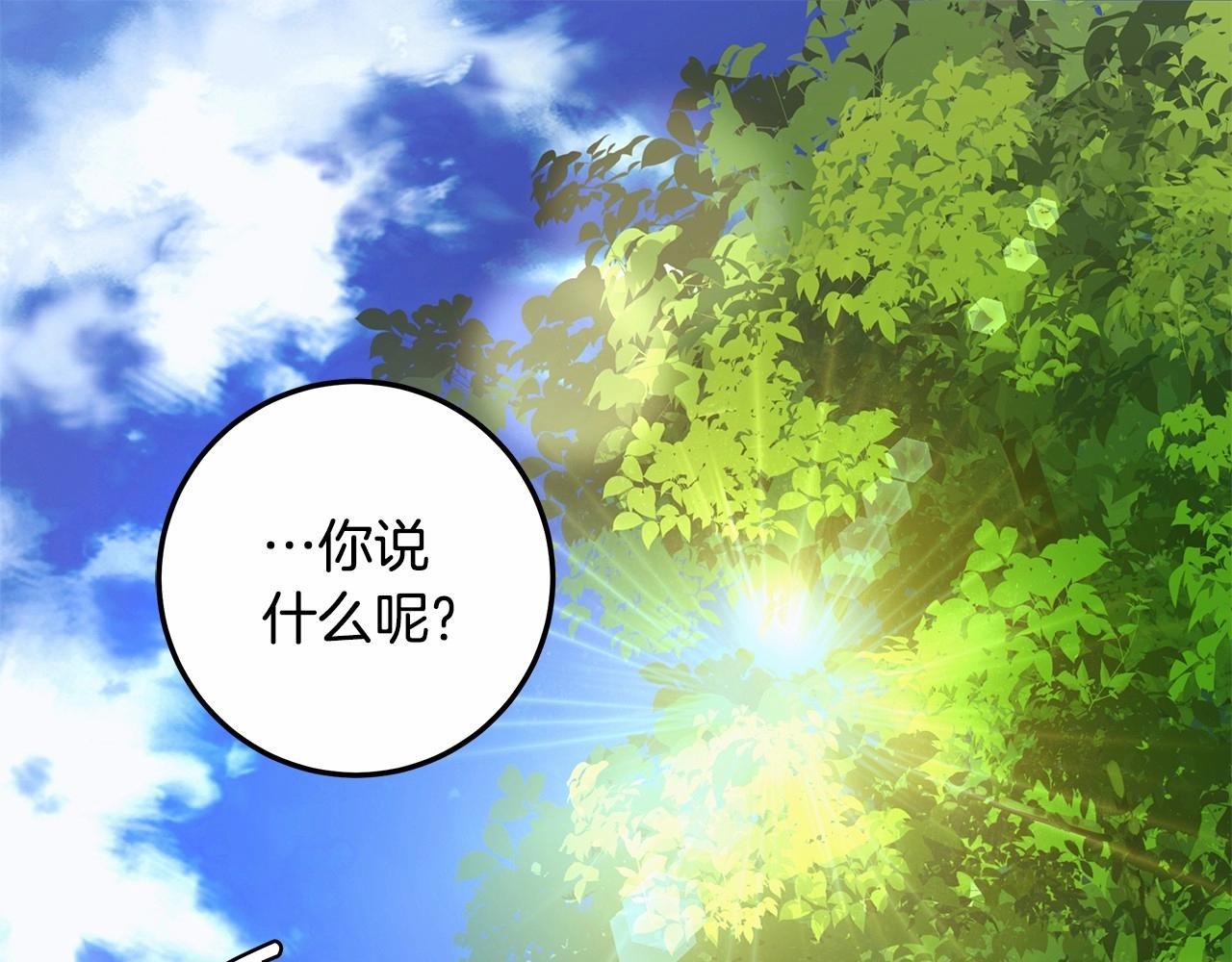 第33话 战争与保护