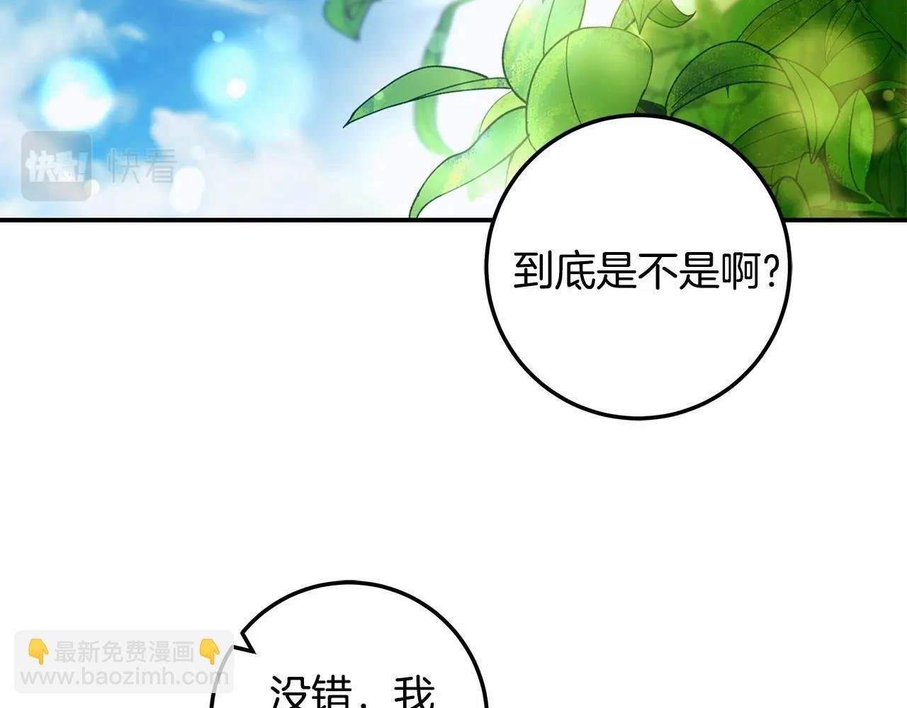 第33话 战争与保护