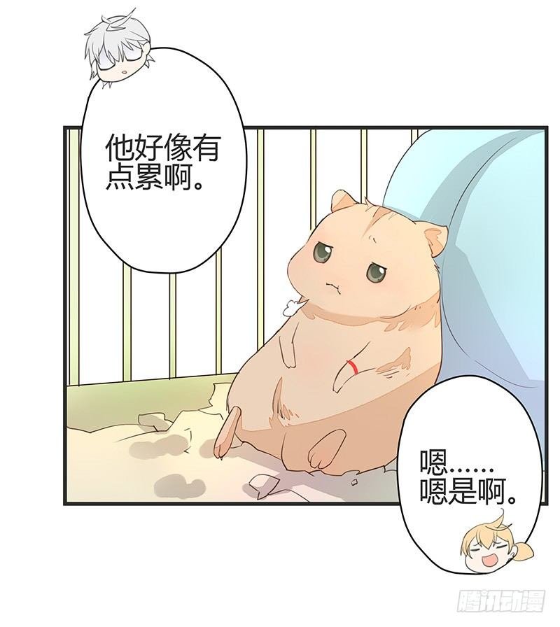 又见面了呢……