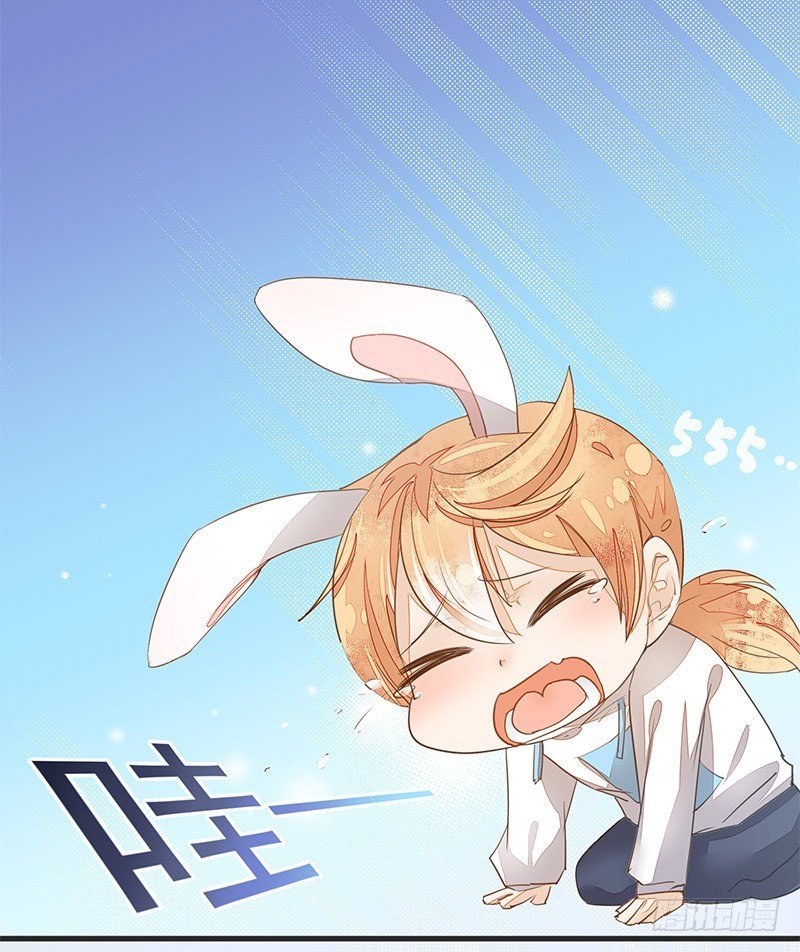 兔子兔子变兔子！大板牙兔子！