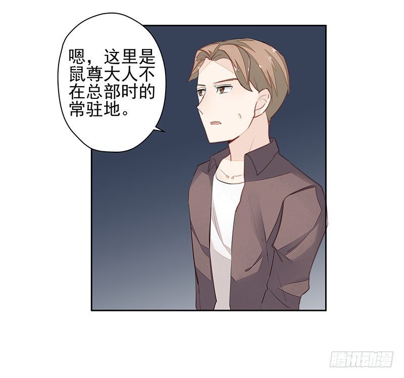 鼠尊大人