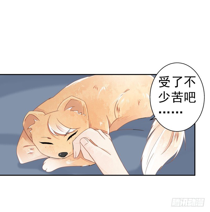 建国的身世